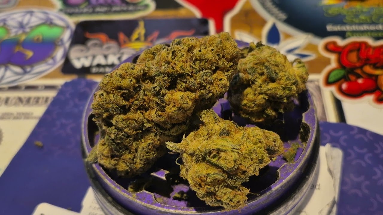 4C Labs Premium MDK T21 Moby Dick Medical Cannabis Flower Hybrid&nbsp;&nbsp;&bull;&nbsp;21% THC&nbsp;&bull;&nbsp;1% CBD