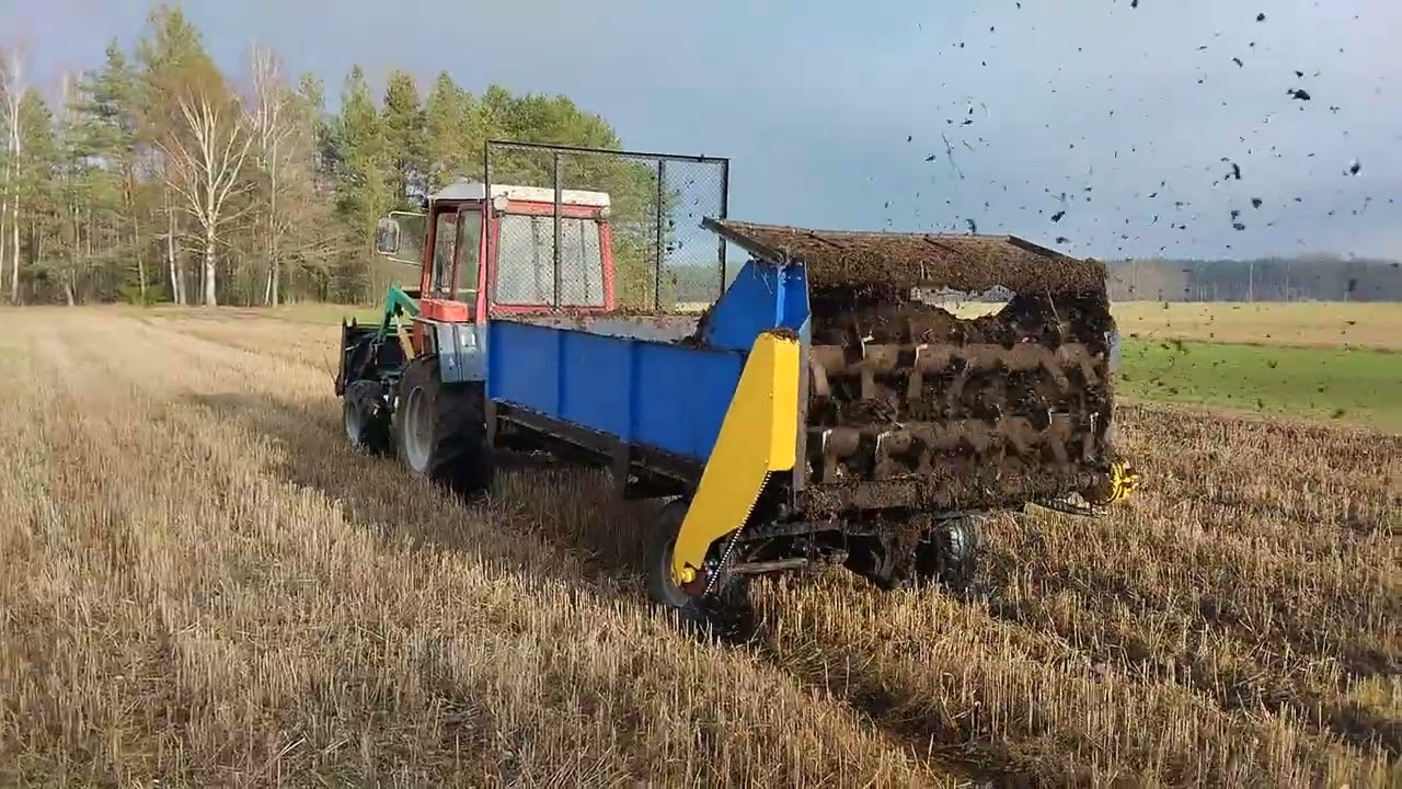 Самодельный навозоразбрасыватель (РОУ-4) в работе 