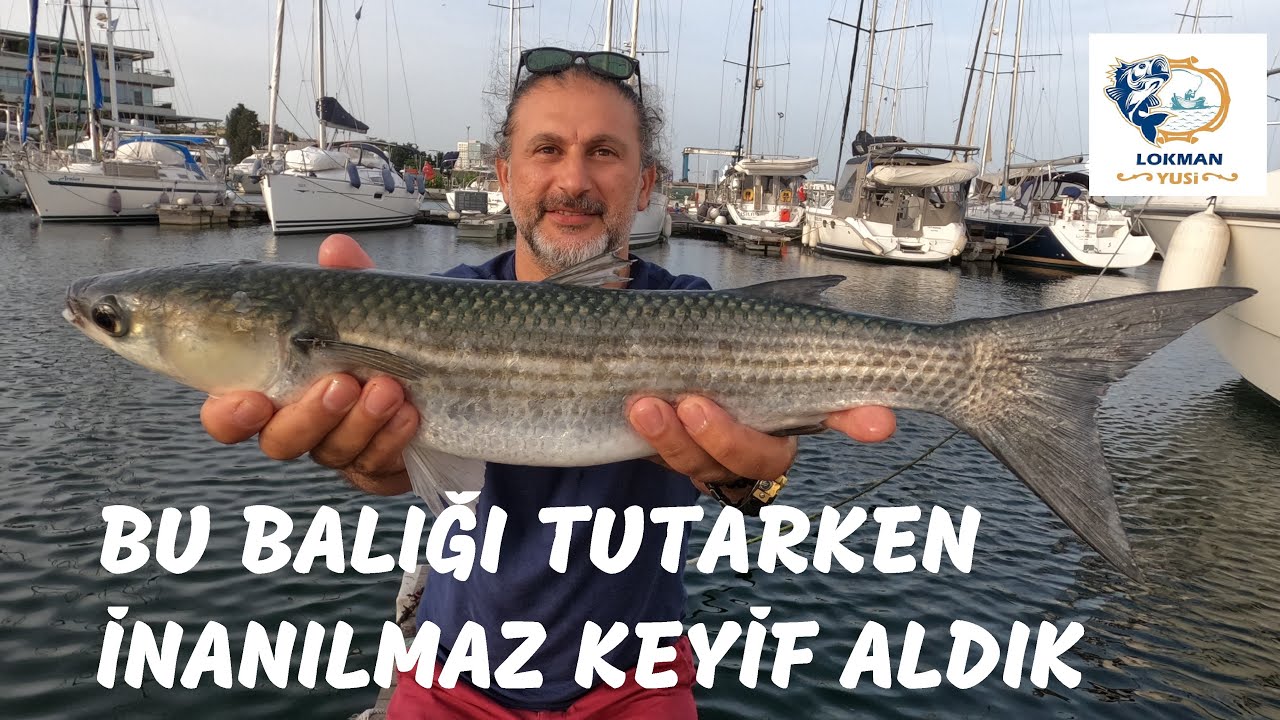 Şeytan Oltası ile Kiloluk Kefaller Avladık