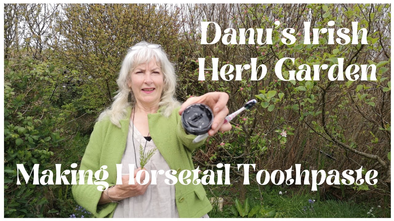 Making Horsetail Toothepaste