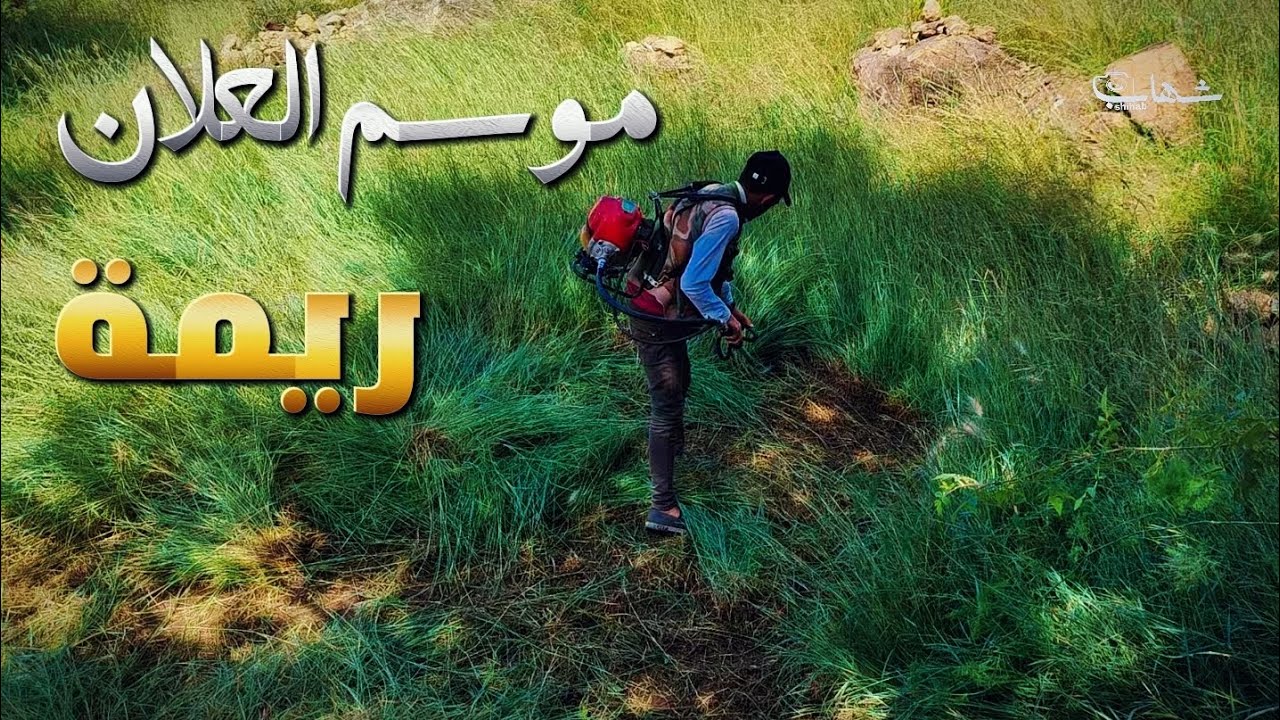 موسم العلان في محافظة ريمة-اليمن 🇾🇪