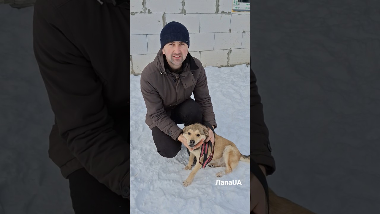 Мелінда🐕, зірка ютубу, шукає сім'ю