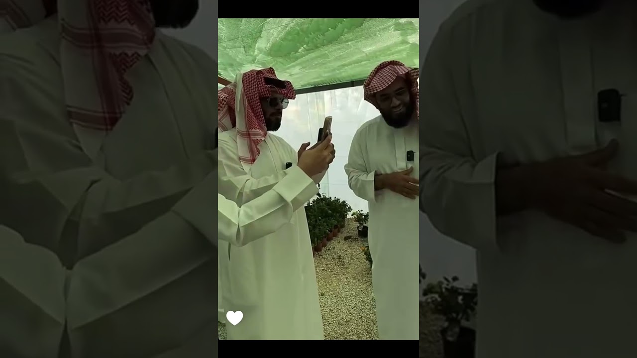 جولة في مشتل روض واستعراض بعض المشاريع الوطنية الكبيرة 🌲