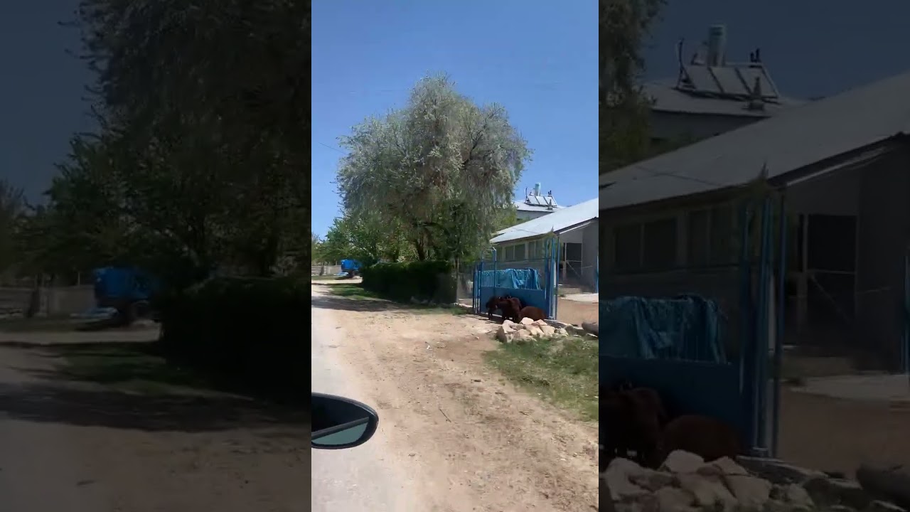 Sırataş Çayırlı (Erzincan)