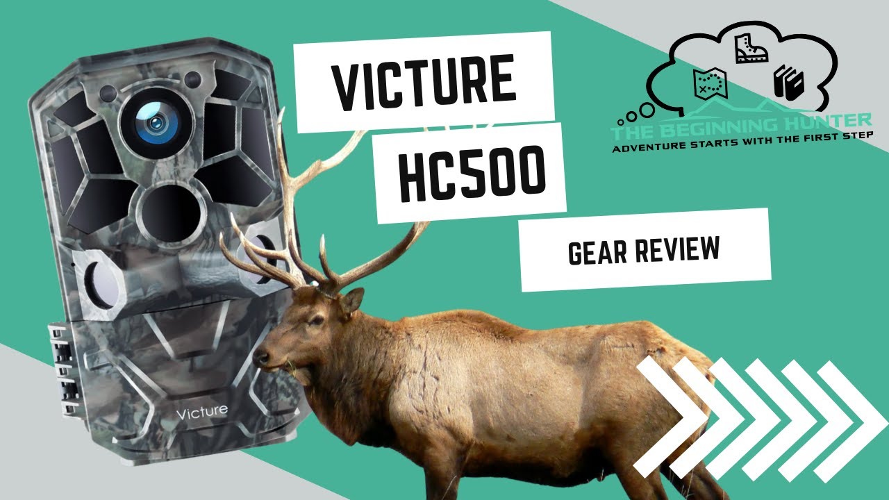 Обзор снаряжения: Victure HC500 Trailcam