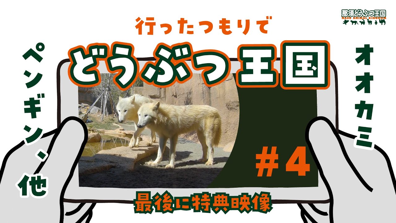 行ったつもりでどうぶつ王国 #4