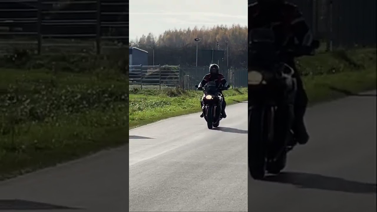 BMW K1300R Mivv Oval Carbon! Quickshifter! Pops&Bangs! 🔥 