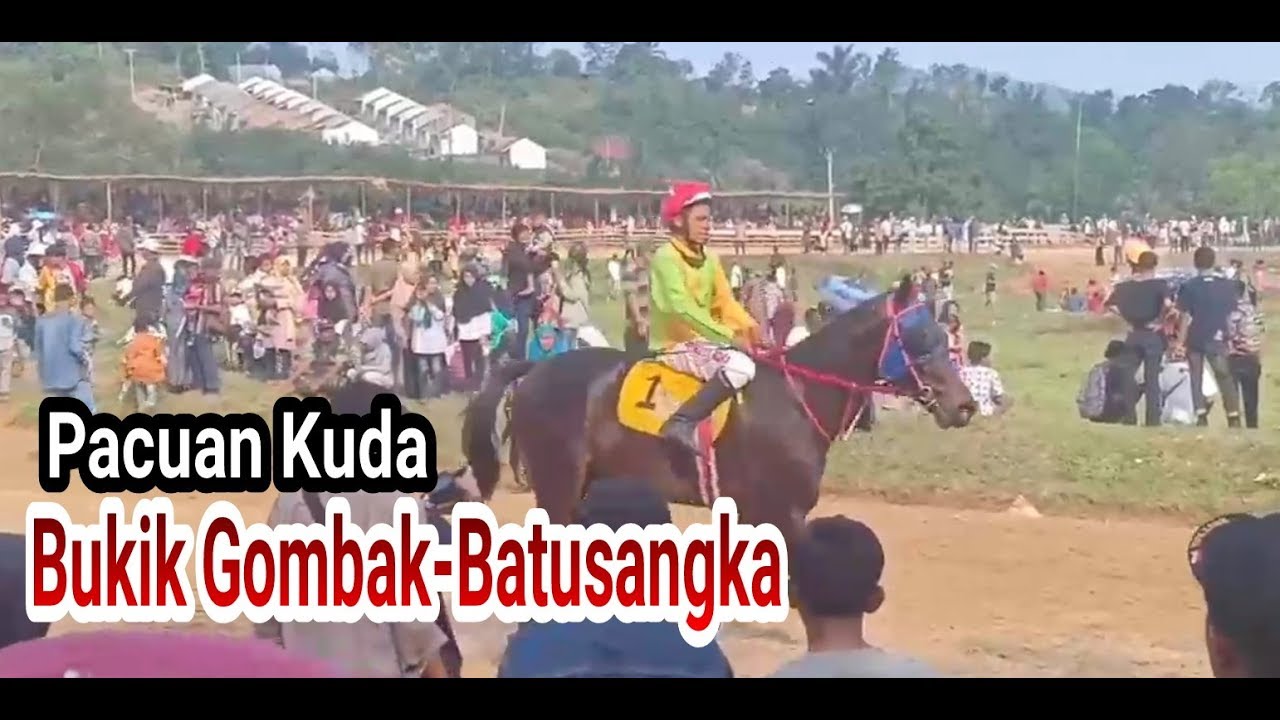 PacuanKuda  |  Gelanggang Dang Tuanku Bukit Gombak - Batusangkar