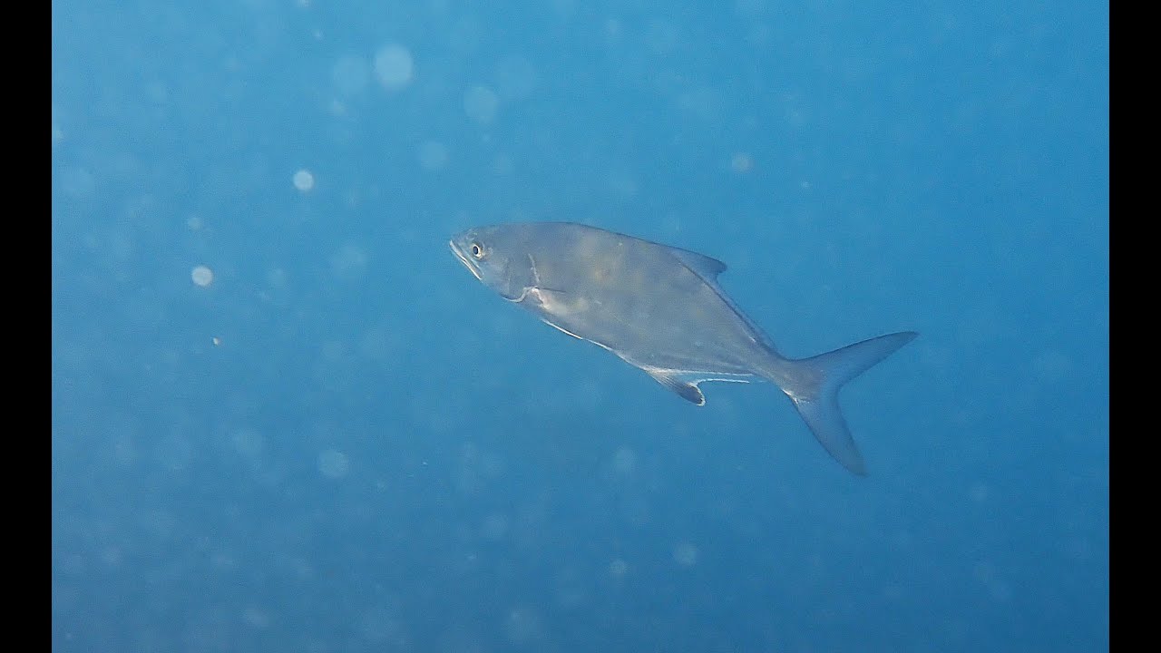 Los Baños de la Reina  Campello  Alicante  Agosto 2025