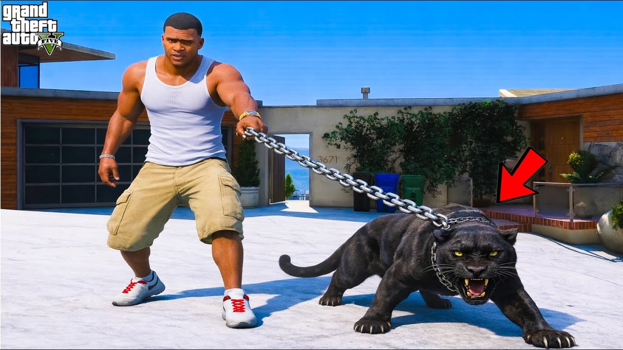 Franklin Finally Catch Most Dangerous Black Panter in Los Santos in GTA 5 Telugu