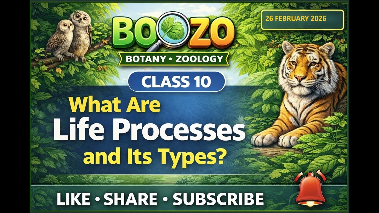 LIFE PROCESSES CLASS 10 | WHAT ARE LIFE PROCESSES ? | TYPES | NCERT | BOOZO