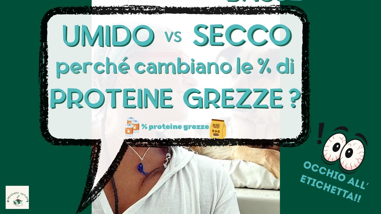 UMIDO vs SECCO: perch&eacute; cambiano le % di PROTEINE grezze?