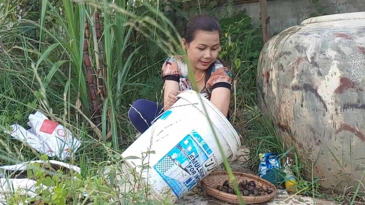 A Girl Catch Snails After a Heavy Rain to Cook for dinner - THE MOST SIMPLE LIFE!