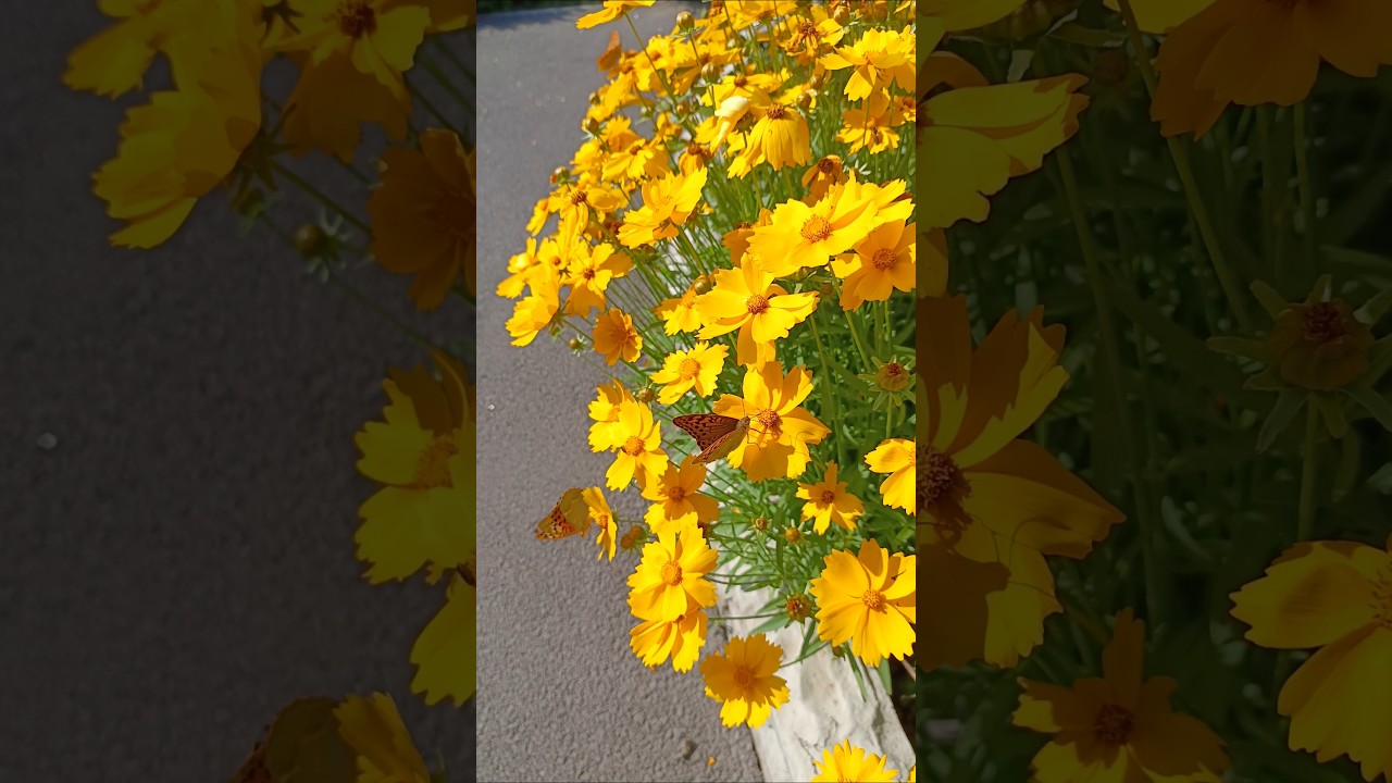 Утро 07.06.25 