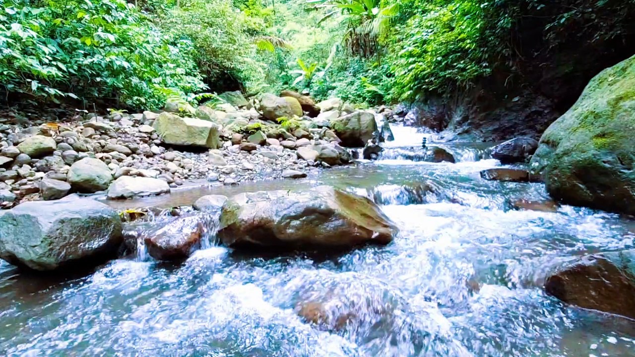 Soft River Sounds for Stress Reduction