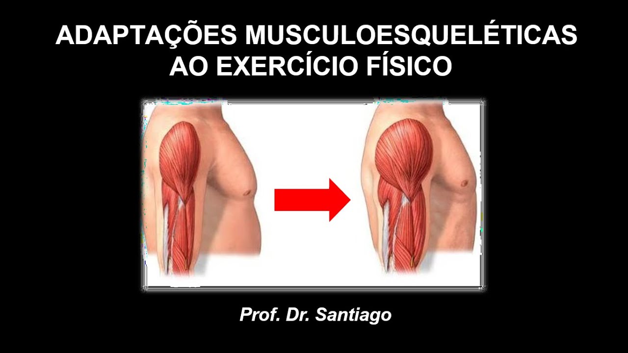 AULA 1.10 - Adaptações Musculoesqueléticas ao Exercício Físico