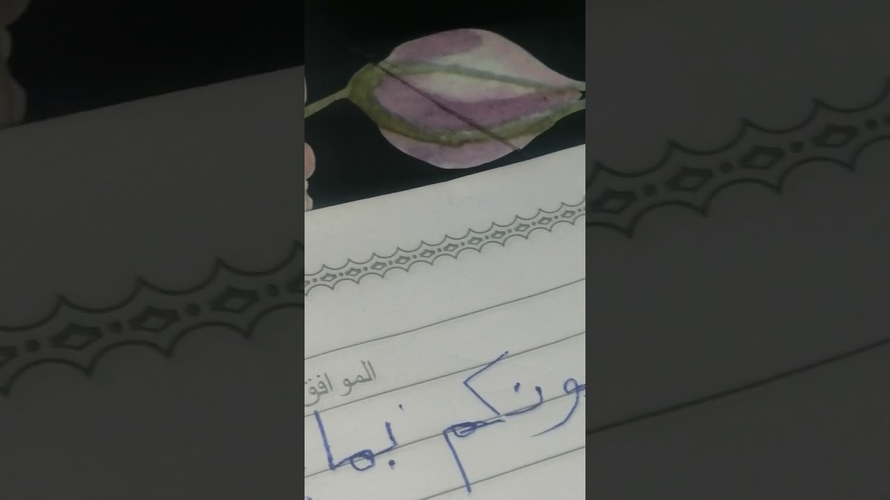 القراءة العربية للصف الثالث الابتدائي الاملاء المنظور ص51
