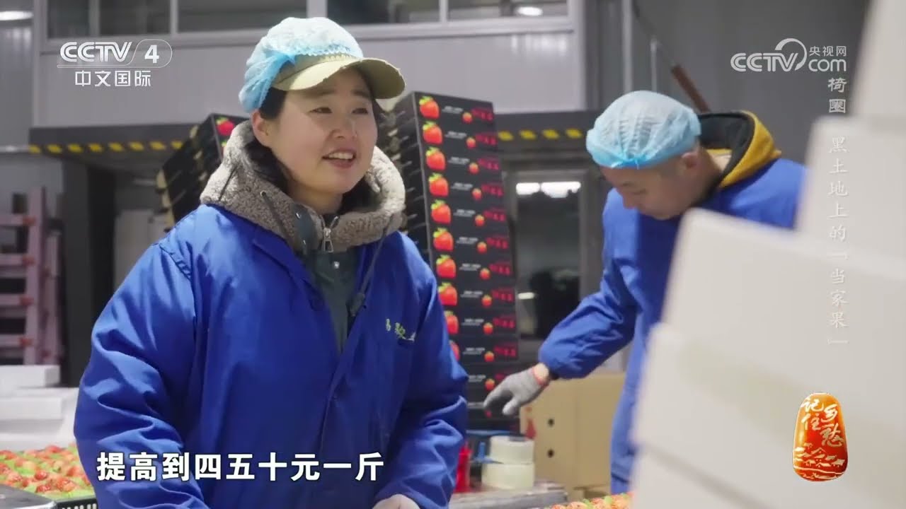 《记住乡愁》第十季 20240308 椅圈——黑土地上的“当家果”|CCTV中文