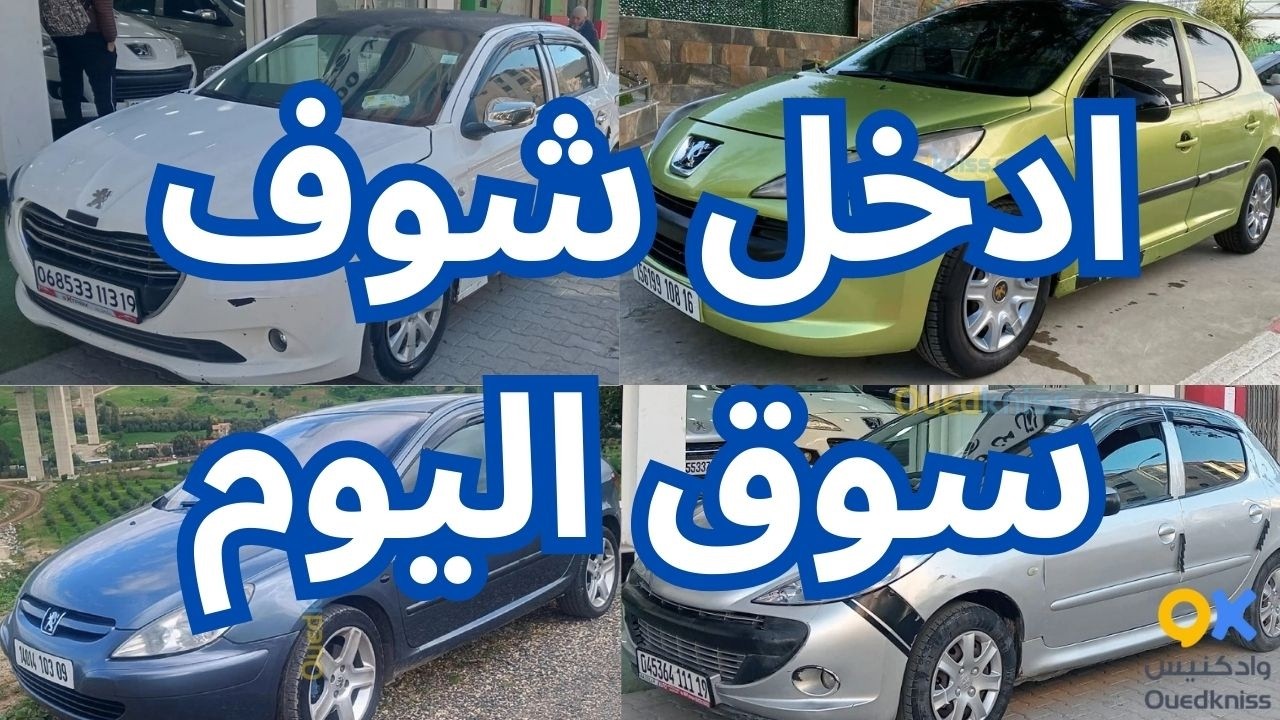 أسعار السيارات يوم من سوق واد كنيس 68 ولاية