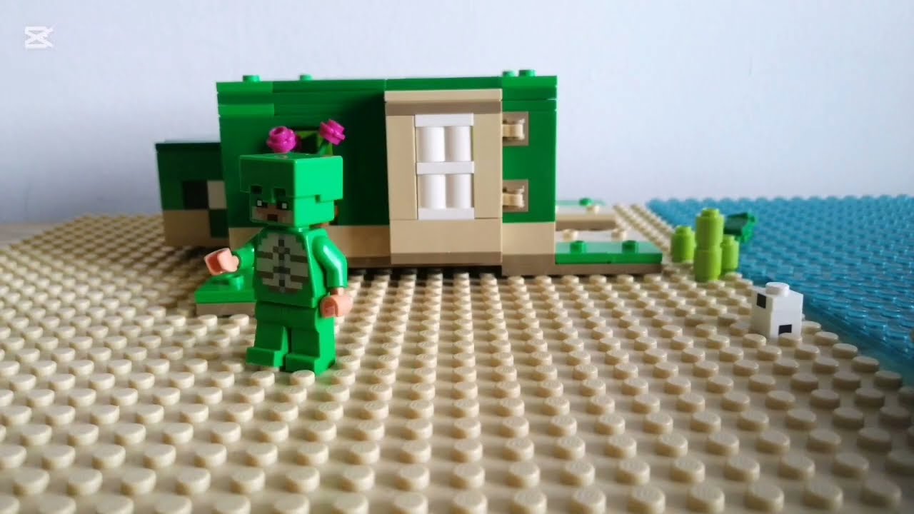 Animation Minecraft -turtle protector