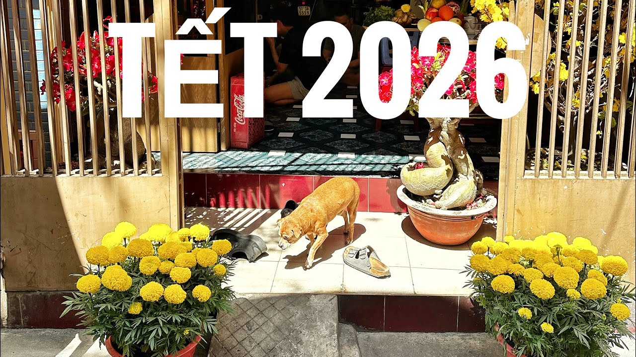 vườn hoa Tết 2026- Tết garden in 2026