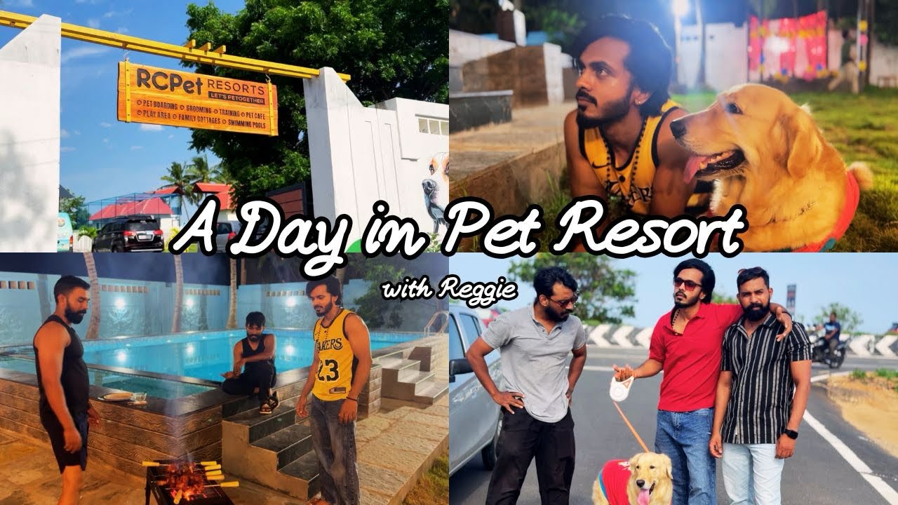 Day Out After Long Time With Reggie || Friends Fun || Reggie Atrocity || RC pet resort