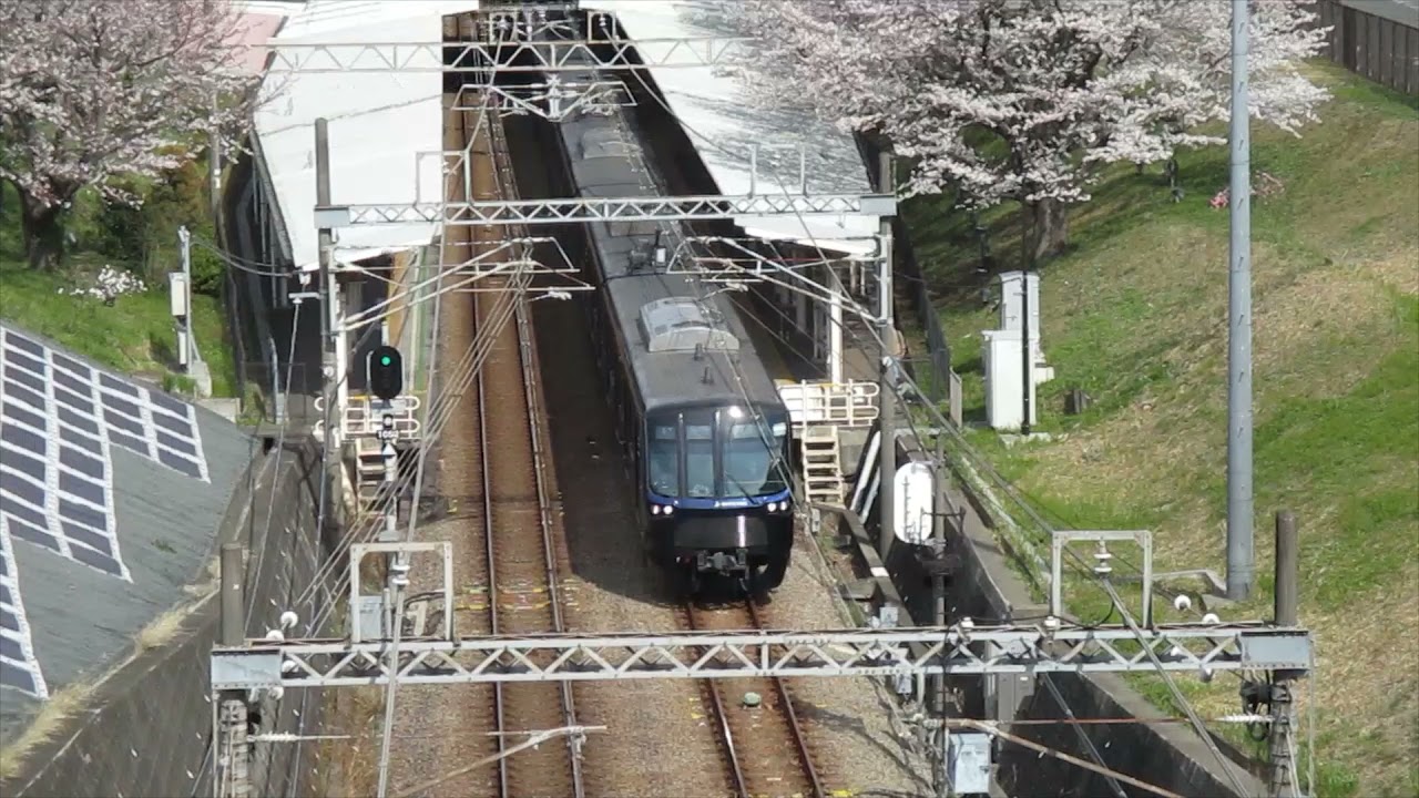 相鉄弥生台2021年桜は少し早かった
