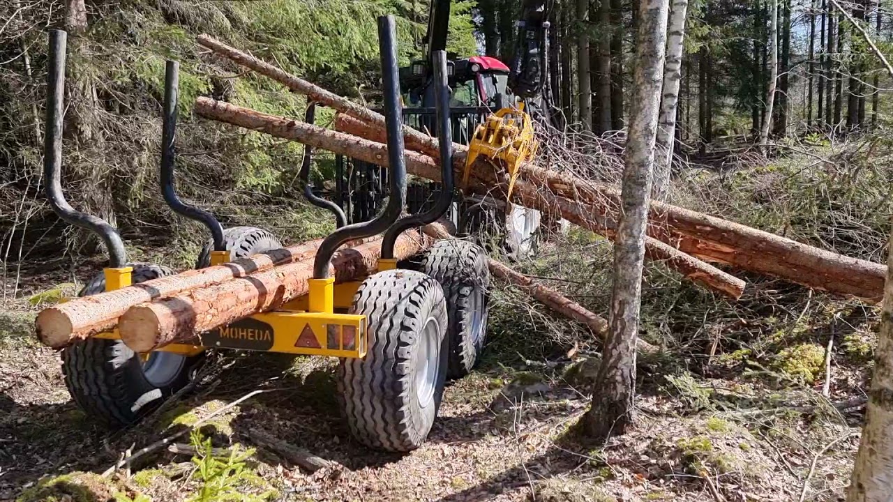 Josef k&ouml;r ut virke ur skogen