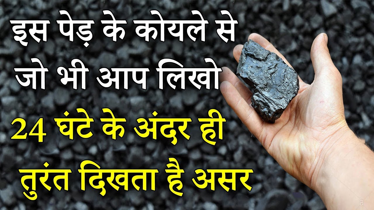 इस पेड़ के कोयले से जो भी आप लिखो 24 घंटे के अंदर ही तुरंत दिखता है असर
