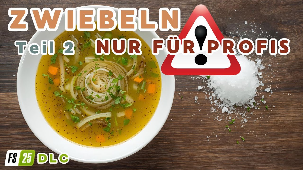 Zwiebelsuppe und Zwiebelsalz TEST - Farming Simulator 25, FS25, Tipps, Tricks, Guide