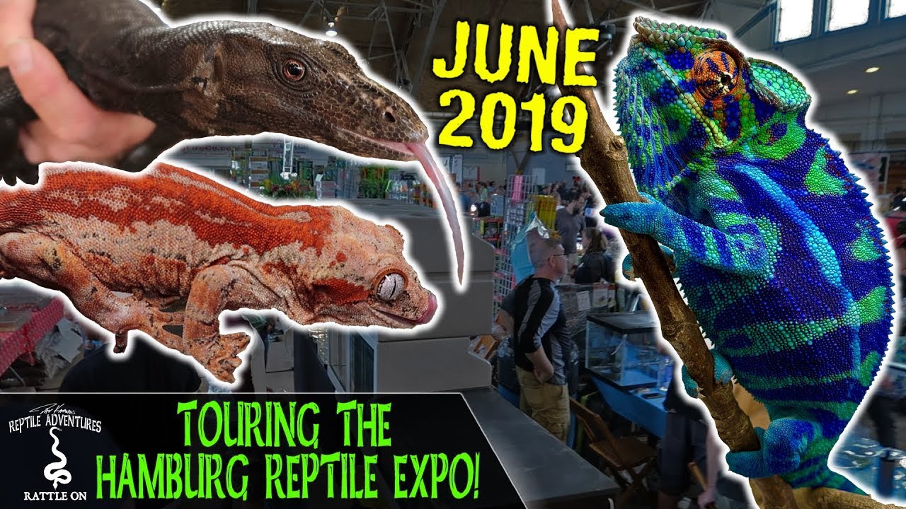 TOURING THE HAMBURG REPTILE EXPO!