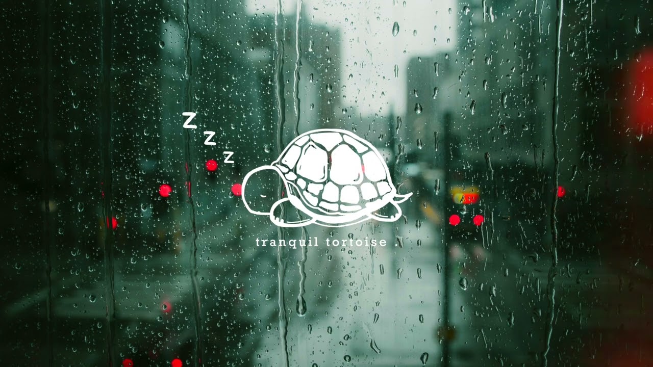 sunday morning storm . | 30 Minutes of Soothing Thunderstorm Ambience for Sleep, Study, Meditation