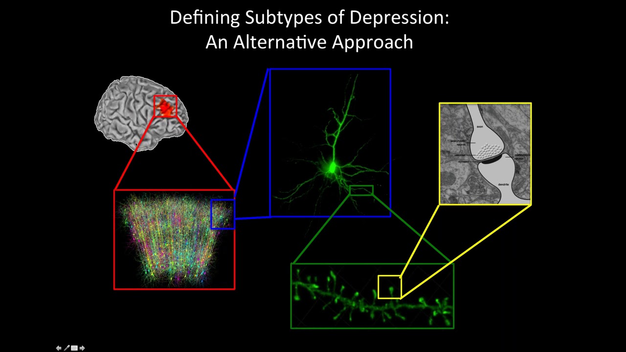 Finding and Fixing Broken Brain Circuits in Depression