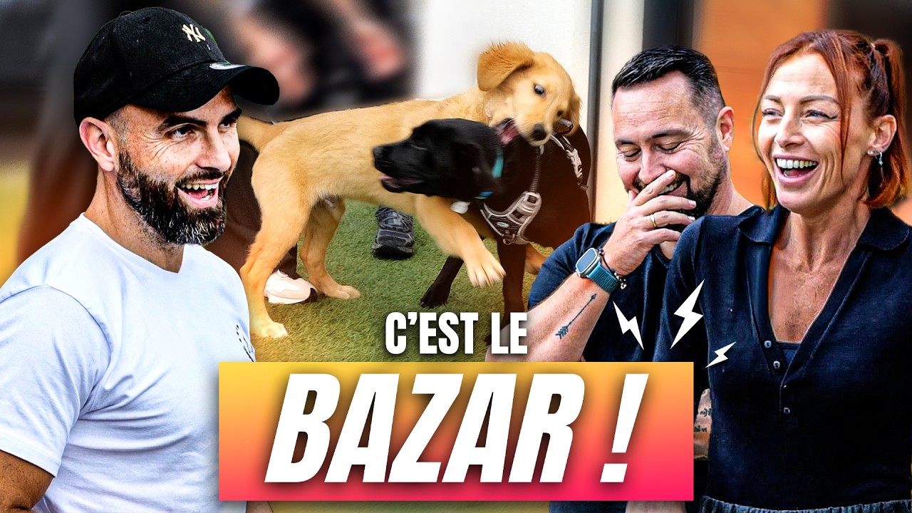2 Chiots, 1 Chat : &Agrave; L'AIDE ! 😱 ft. @LatelierdeRoxane