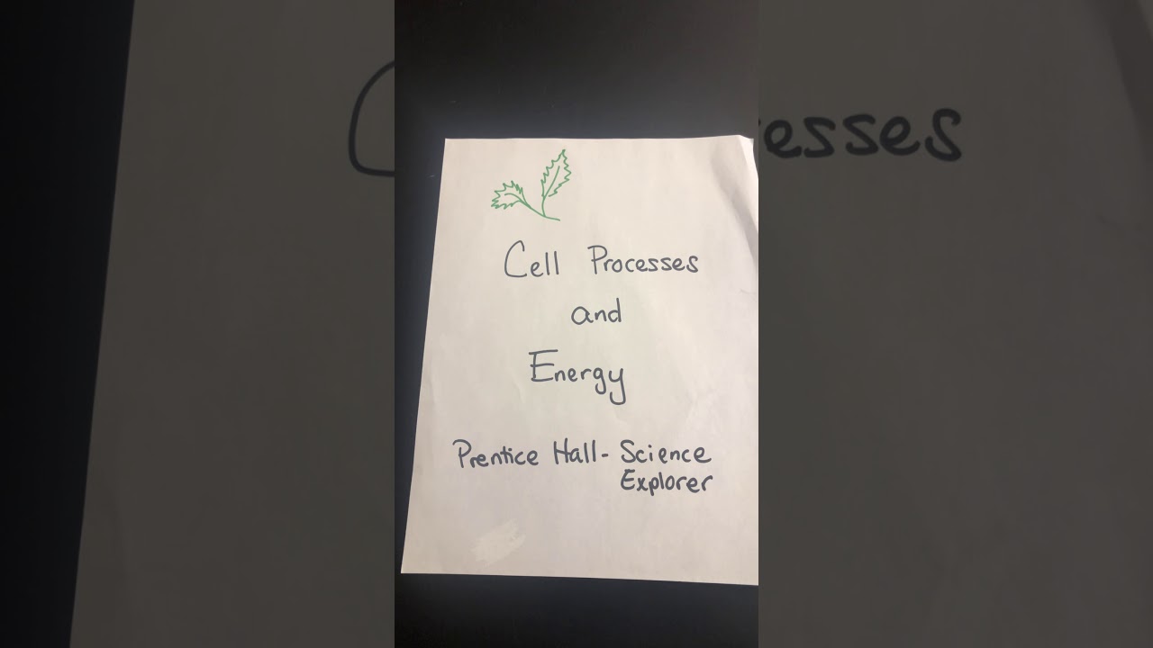 Cell Processes and Energy