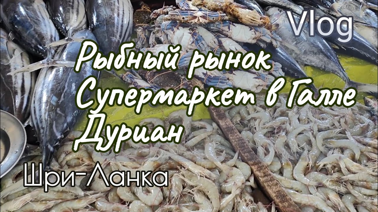 Шри-Ланка. Рыбный рынок. Супермаркет в Галле Arpico. Пробуем дуриан.