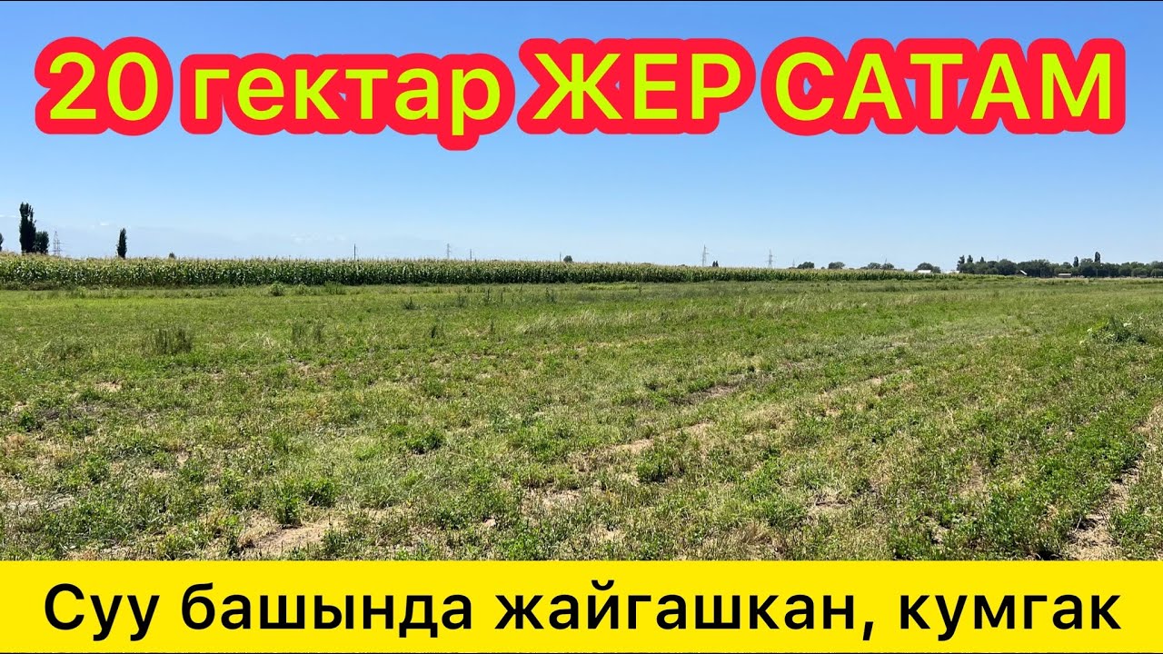 20 гектар айыл-чарба ЖЕРИ сатылат ~  Суу башында, топурагы кумгак ~  2,5 гектар БАГАРАСЫ да бар