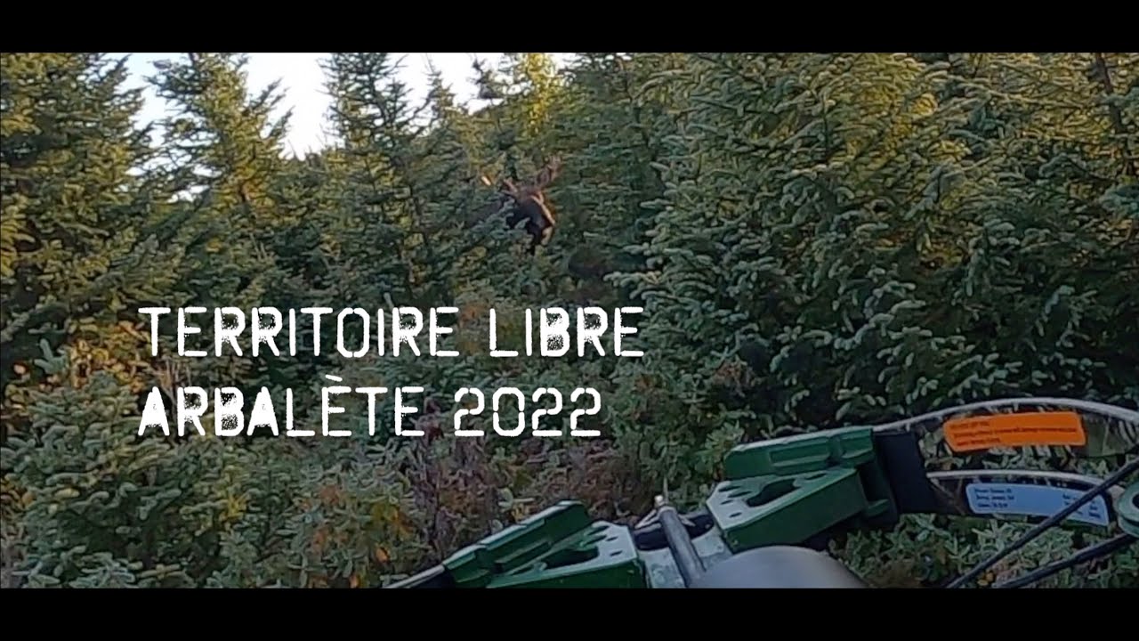 Chasse &agrave; l'Orignal - TERRITOIRE LIBRE - Zone 28 - Arbal&egrave;te - 2022 - Moose hunting - Qu&eacute;bec - Canada