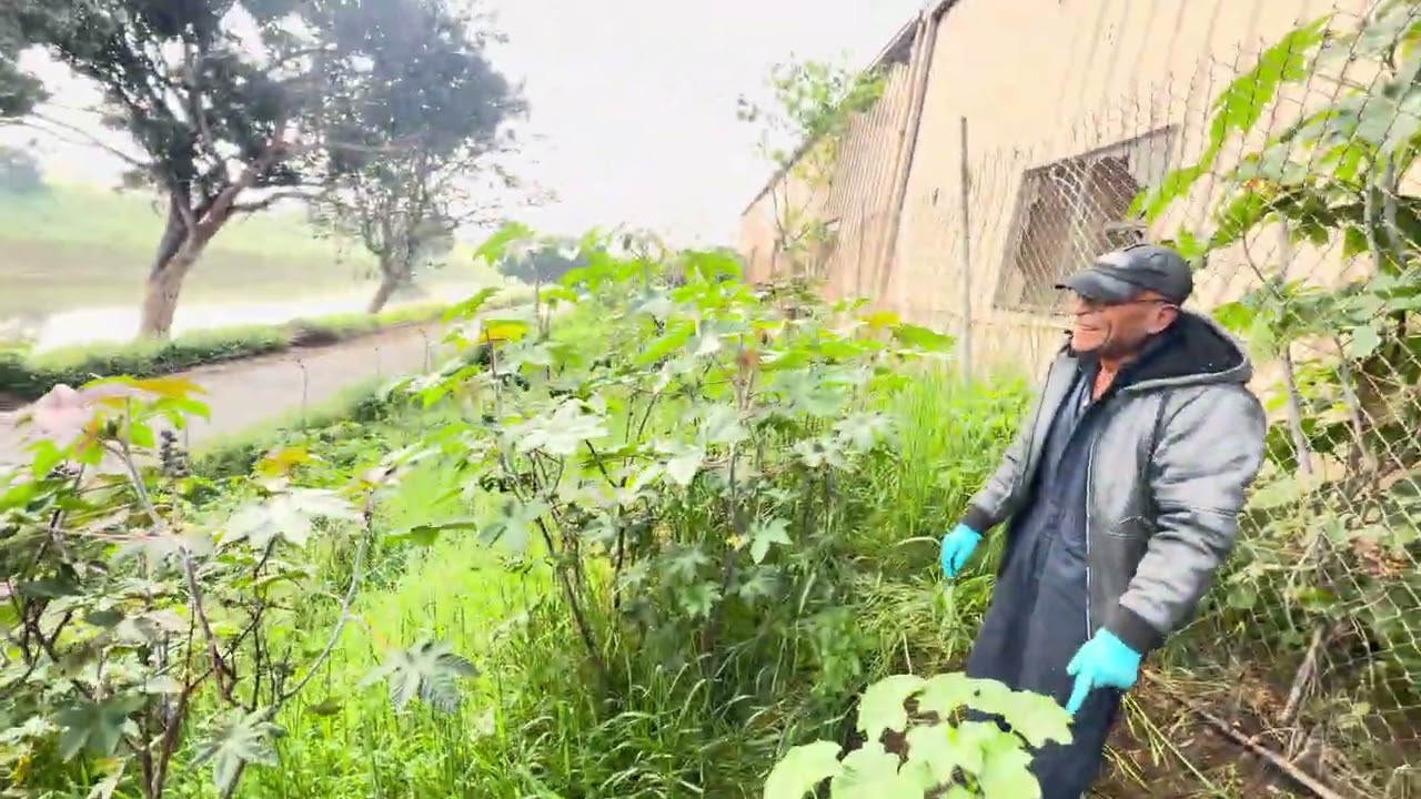 Un día como se trabaja en el campo👍👍👍