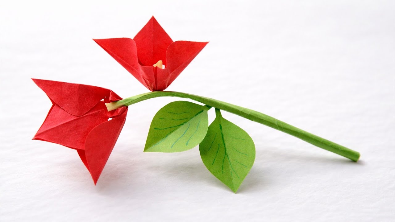 𝐄𝐚𝐬𝐲 𝐏𝐚𝐩𝐞𝐫 𝐅𝐥𝐨𝐰𝐞𝐫 𝐂𝐫𝐚𝐟𝐭 𝐓𝐡𝐚𝐭 𝐋𝐨𝐨𝐤𝐬 𝐁𝐞𝐚𝐮𝐭𝐢𝐟𝐮𝐥 | 𝐏𝐚𝐩𝐞𝐫 𝐅𝐥𝐨𝐰𝐞𝐫 𝐂𝐫𝐚𝐟𝐭 🌸✨