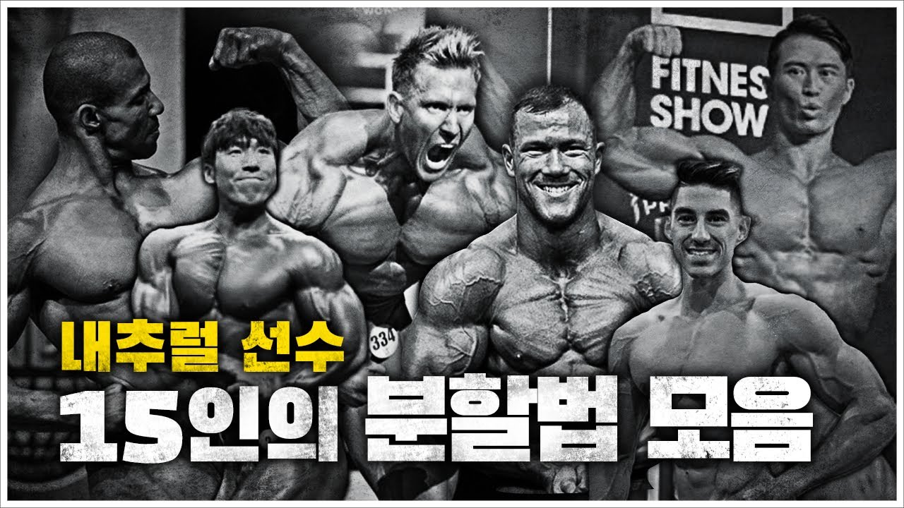 내추럴 선수들은 어떤 분할법으로 운동할까? 2분할? 5분할??