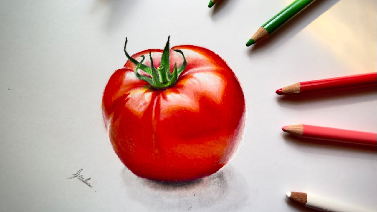 realistic drawing of tomato with color pencil \ how to draw tomato \ drawing with polychromos pencil
