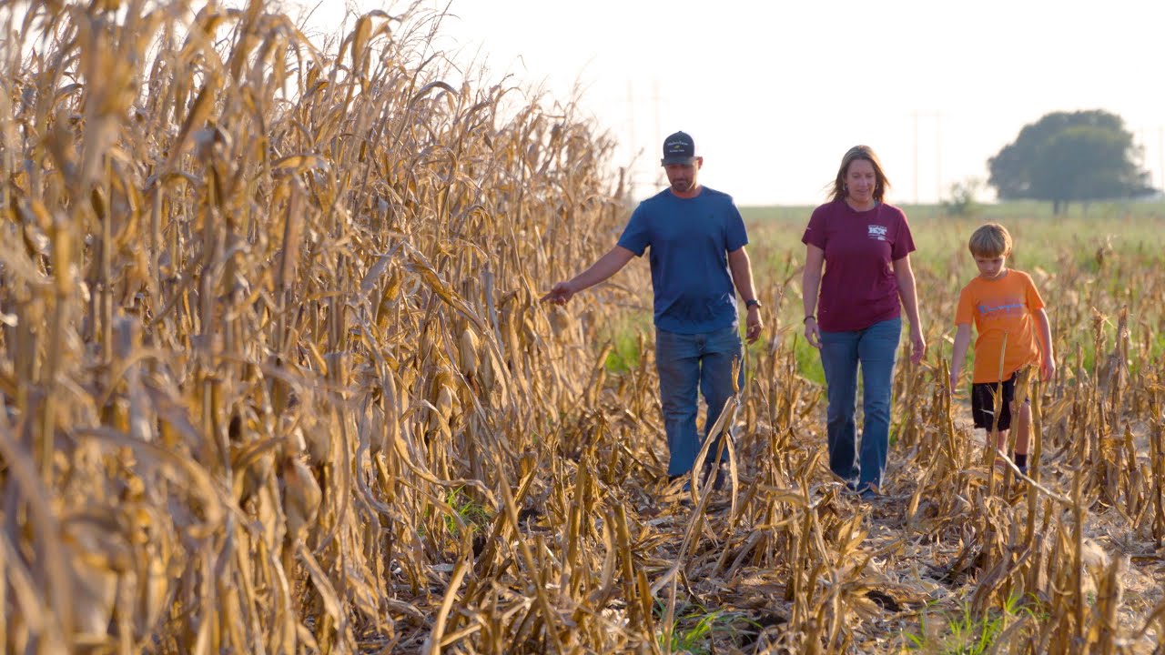 Growing Corn, Raising a Family