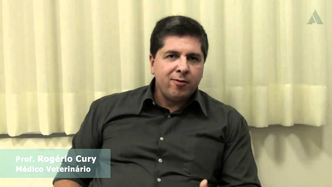 A Importância do Socorrista - Rogério Cury