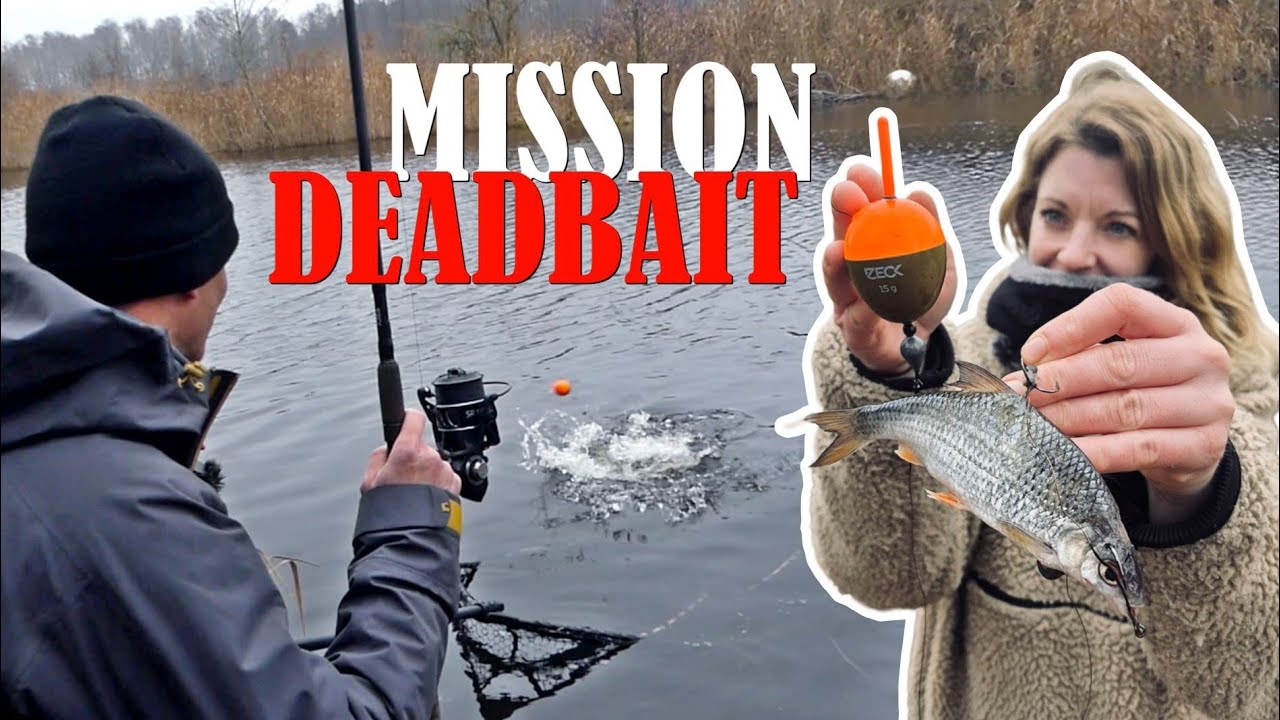 Mission DEADBAIT - Erfolgreich DICKE Raubfische mit Köderfisch Angeln!