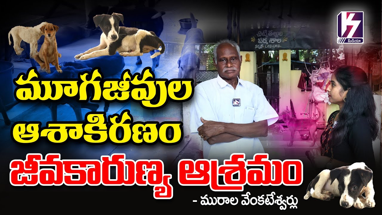 మూగజీవుల ఆశాకిరణం  జీవకారుణ్యం ఆశ్రమం @K7MEDIAOFFICAL