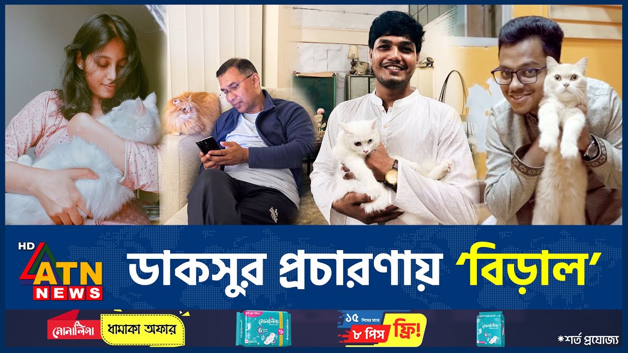 ডাকসুর প্রচারণায় &lsquo;বিড়াল&rsquo;, ট্রেন্ডে গা ভাসালেন তারেক রহমানও | Daksu Campaign Cat | Tarique Rahman