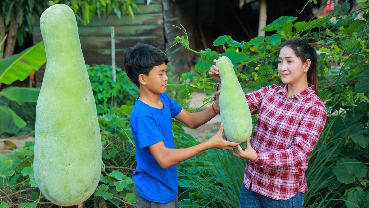 Giant Wax Gourd: Pick Big Wax gourd for recipe / Wax gourd cook with egg and edible amaranth