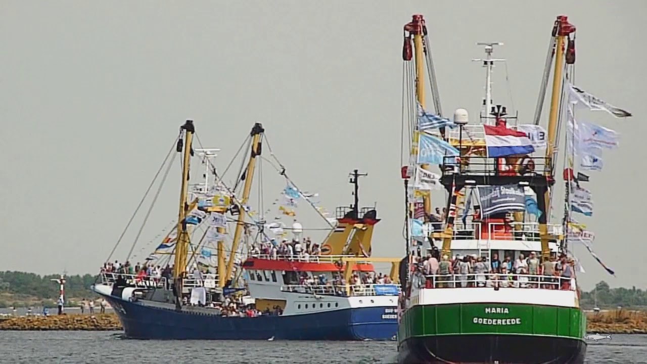 Stellendam vlaggetjesdag