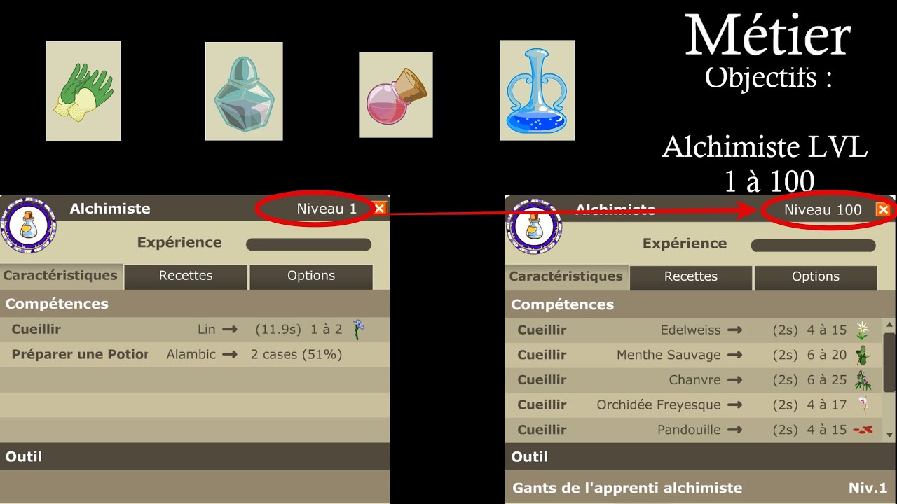 Dofus Retro les métiers #1 : Alchimiste de 1 à 100